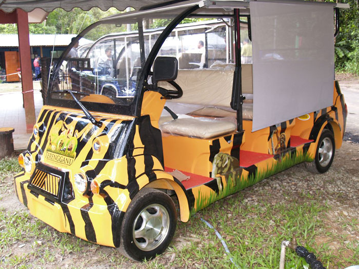 buggy1