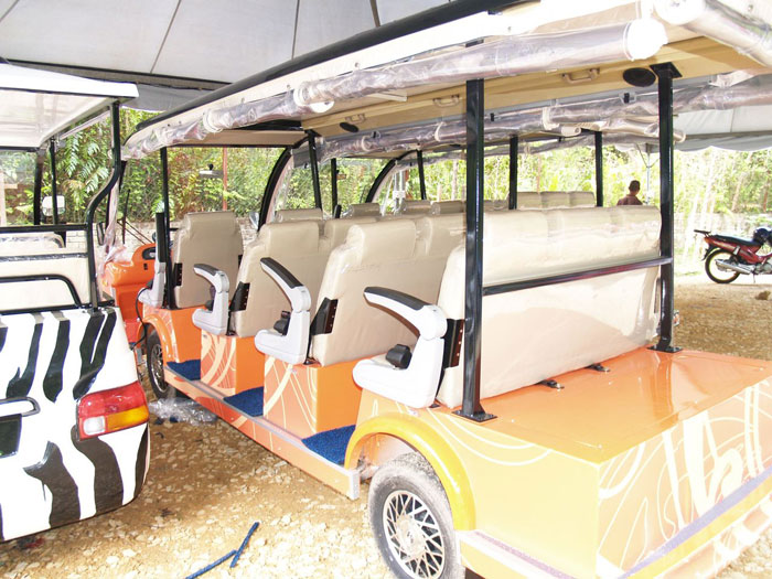 buggy4