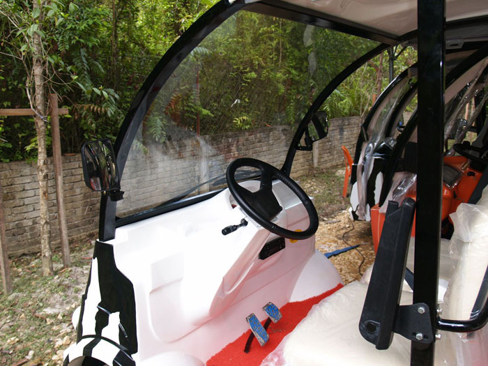 buggy5